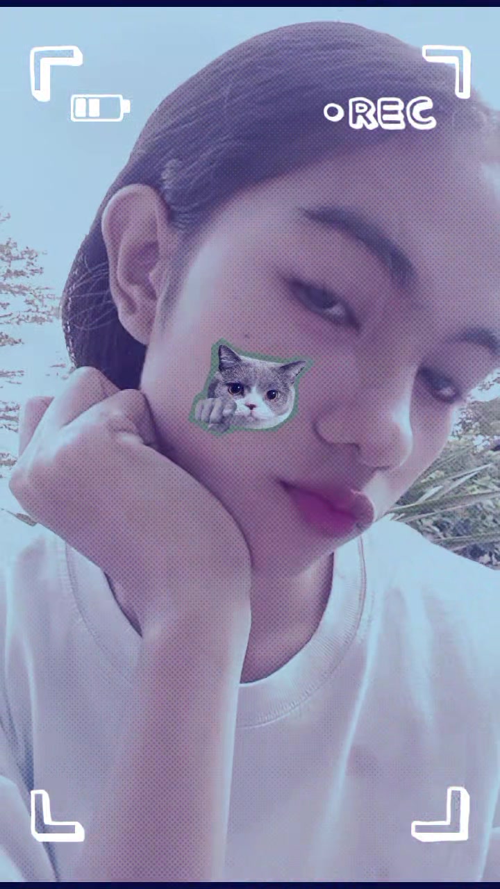 @arlyn kaley