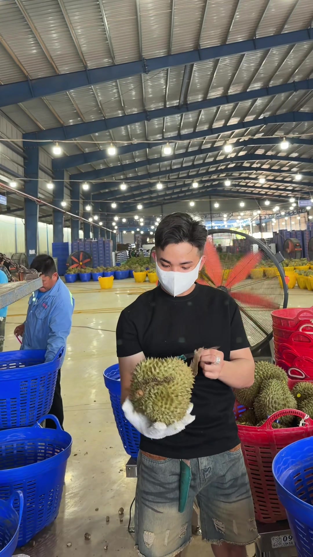 @Trương Mẫn
