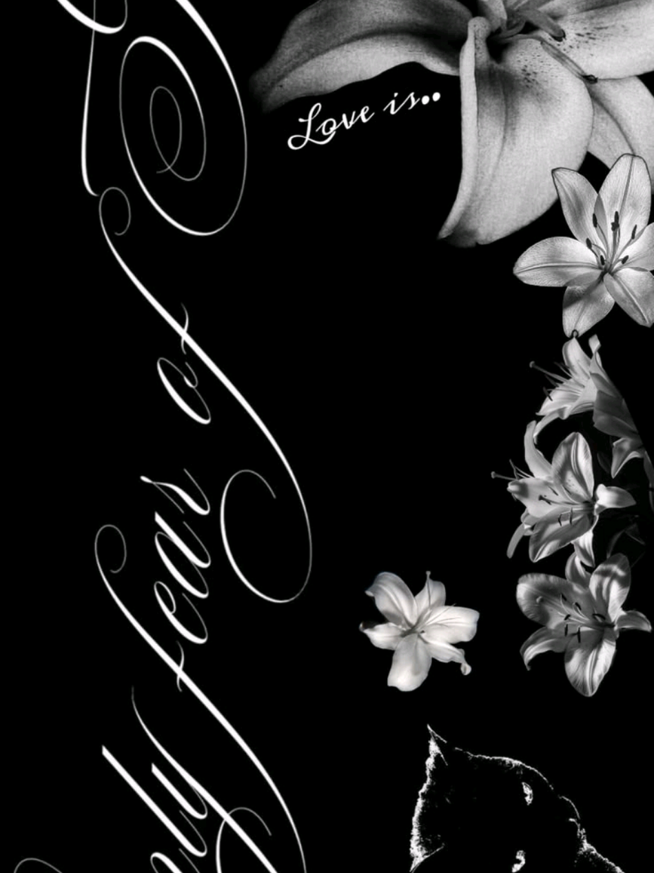 @` 𝓑la͟ck  ,,