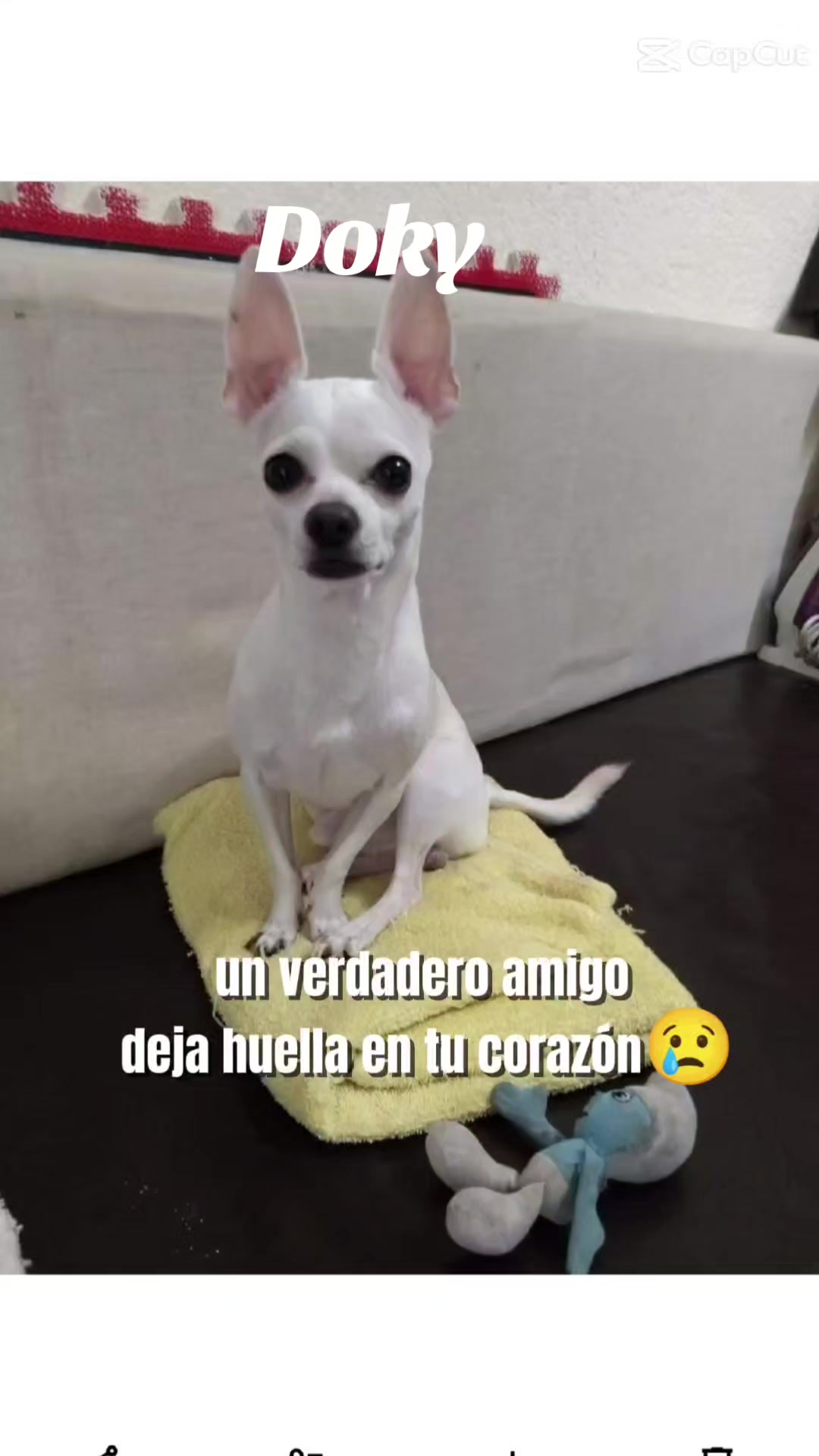 @LilyTajonar🦵🏻🪽😔