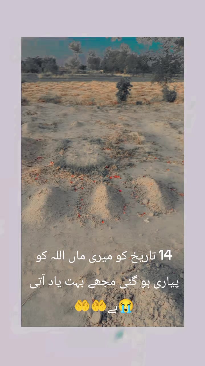 @Shakir Ali