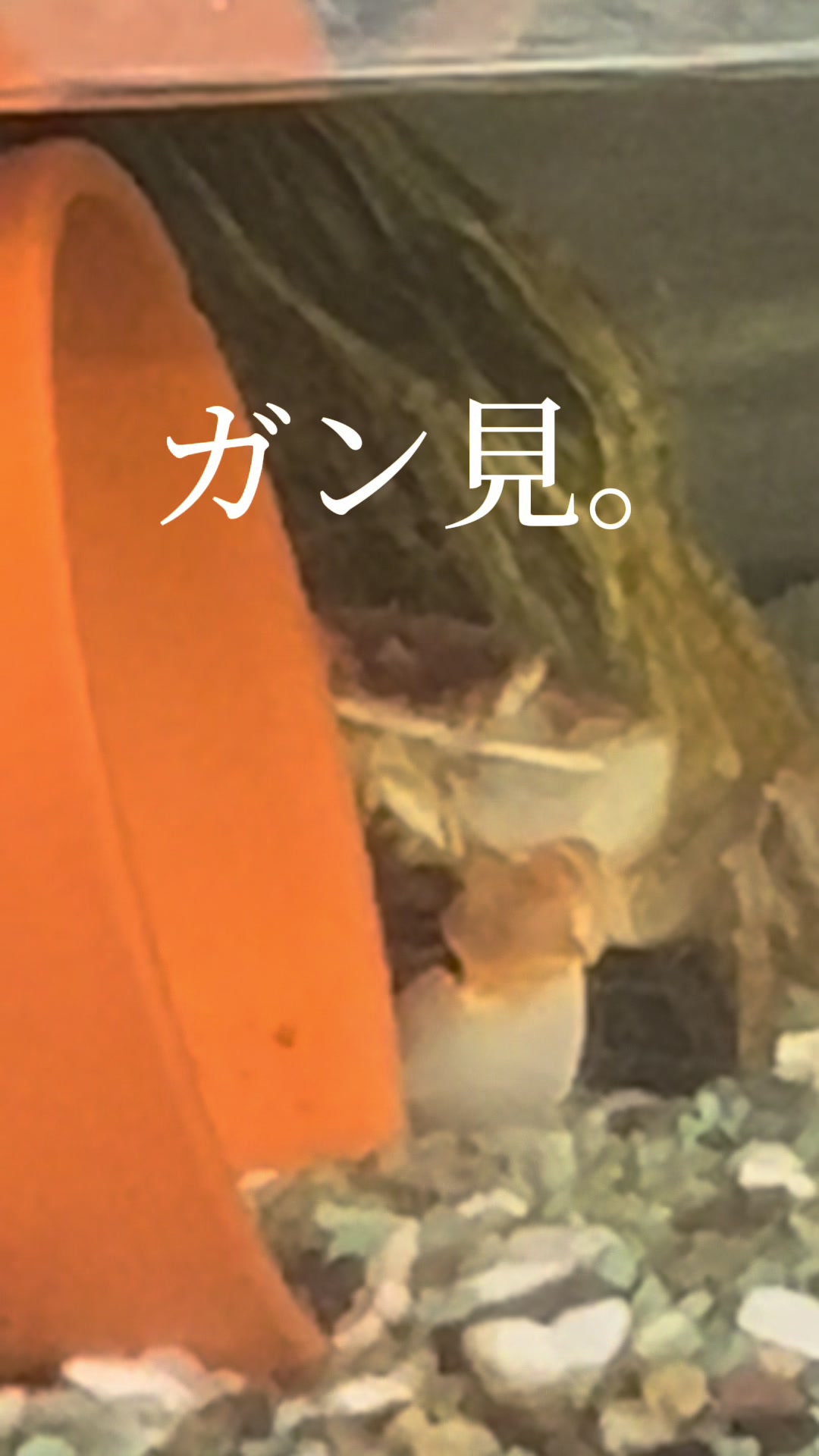@yu_zuki.7
