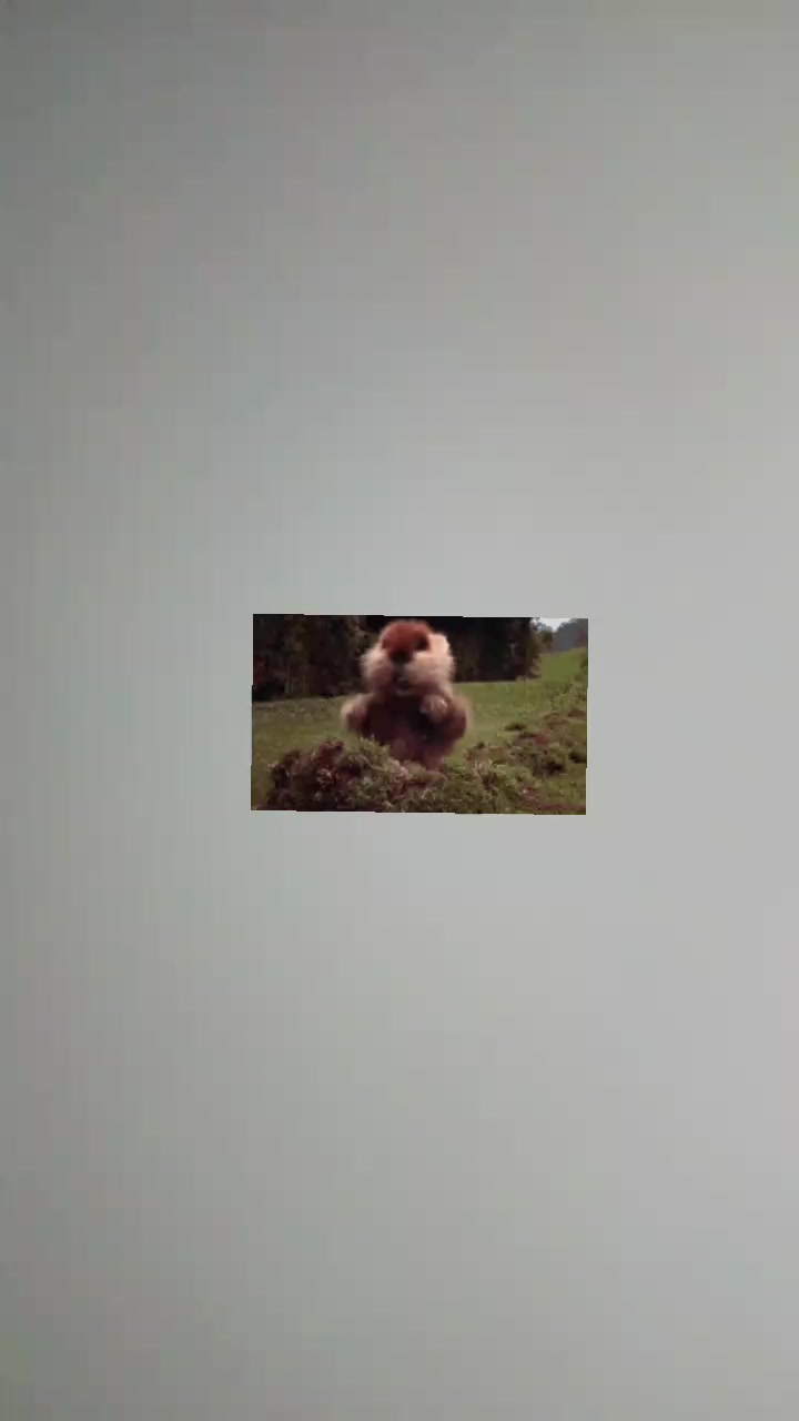@gfshjxsf