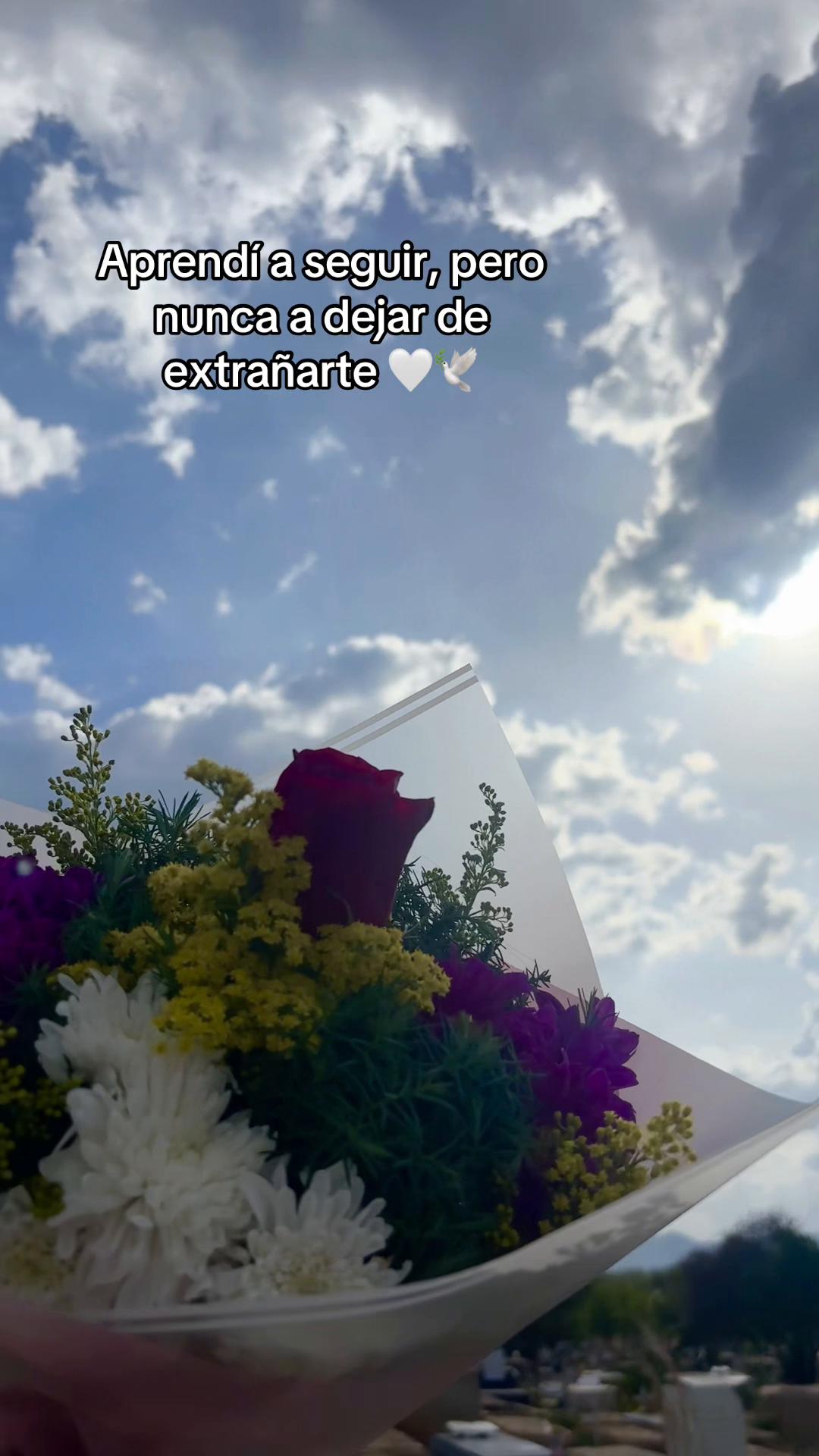 @Carmencita 🕊️🤍