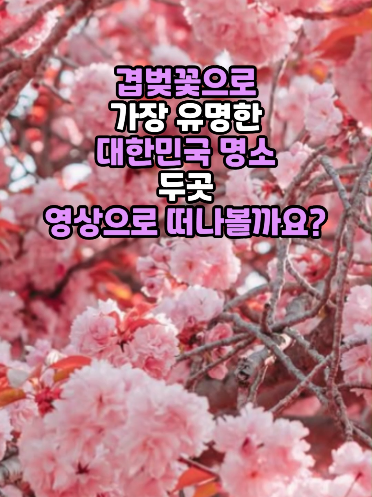 @꽃길