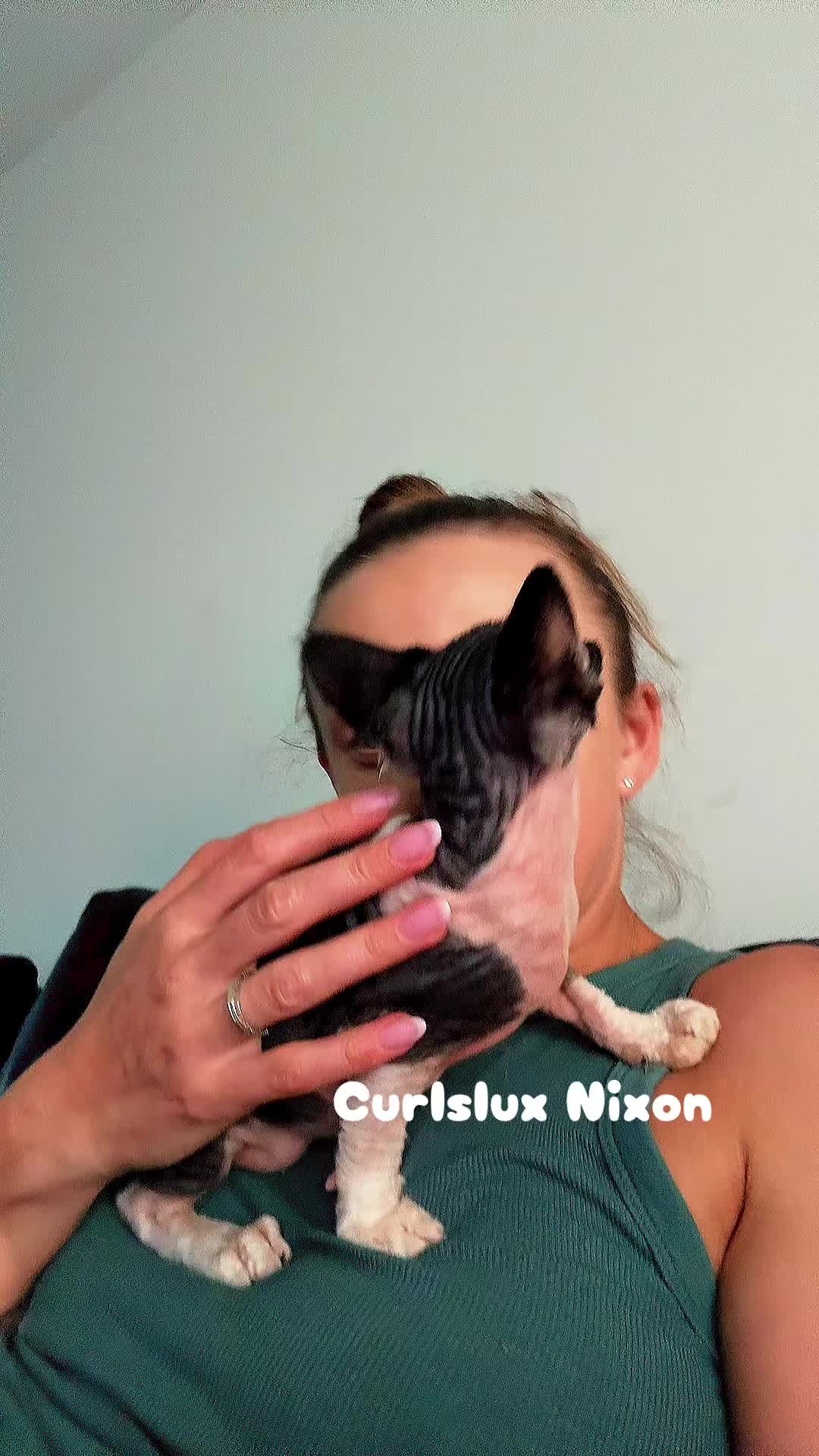 @Curlslux cattery!!๐บ๐ธ