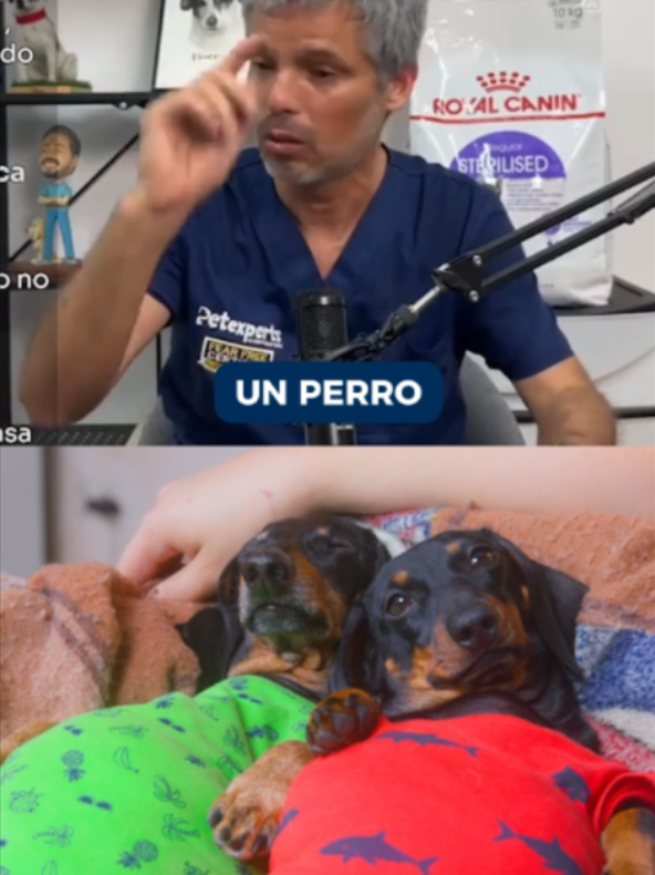 @Pancho Cavero