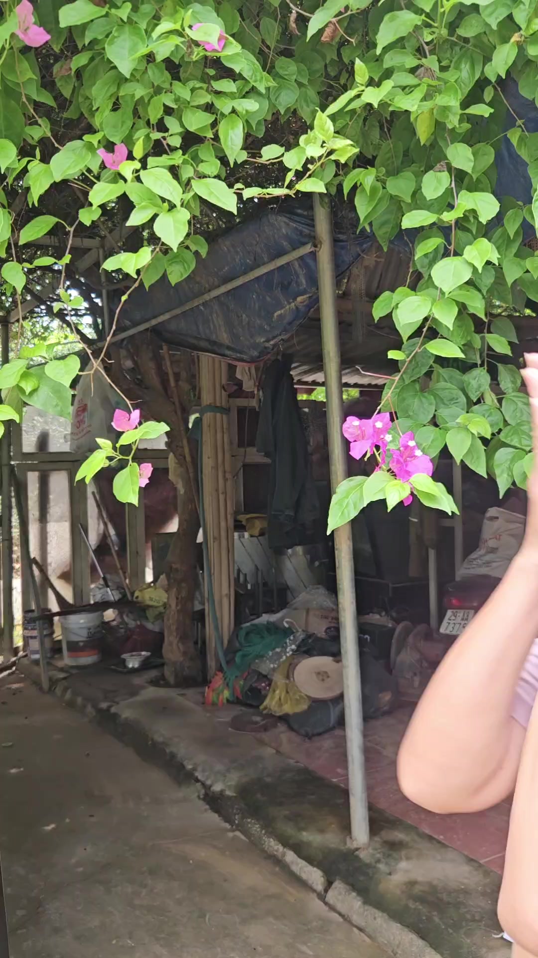 @Diễn vi&ecirc;n T&uacute; Oanh