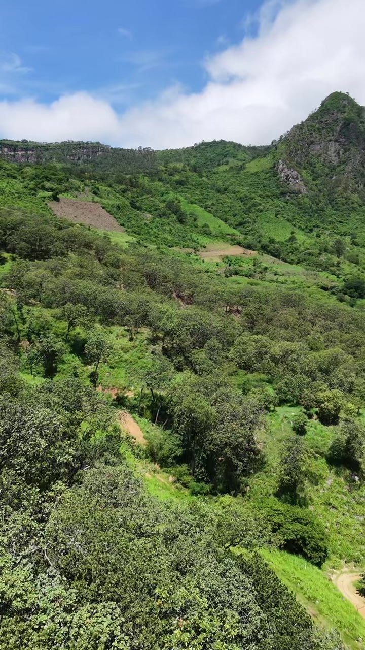 @Moy Osuna