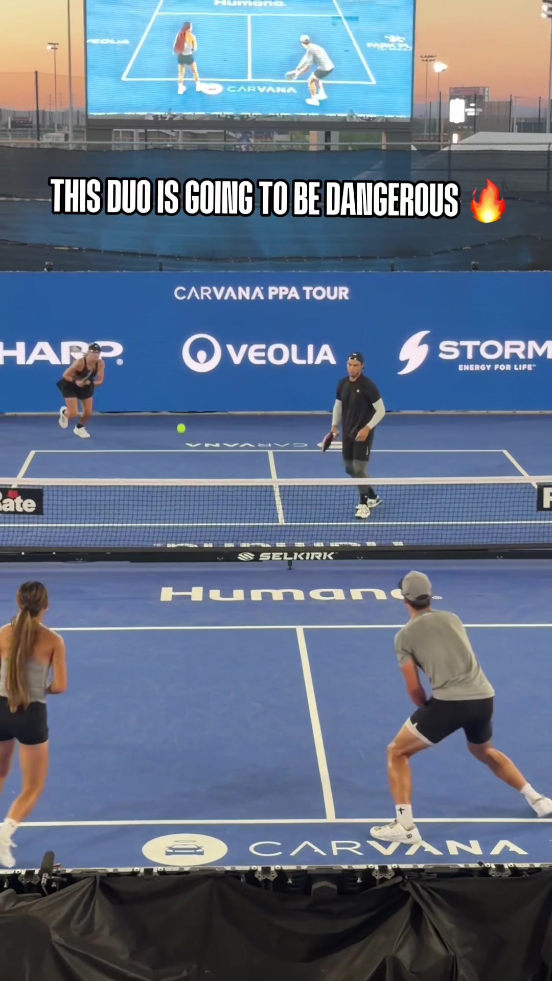 @pickleballdotcom