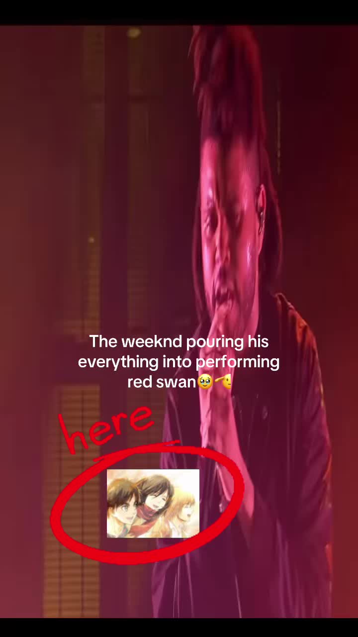 @brady メ𝟶