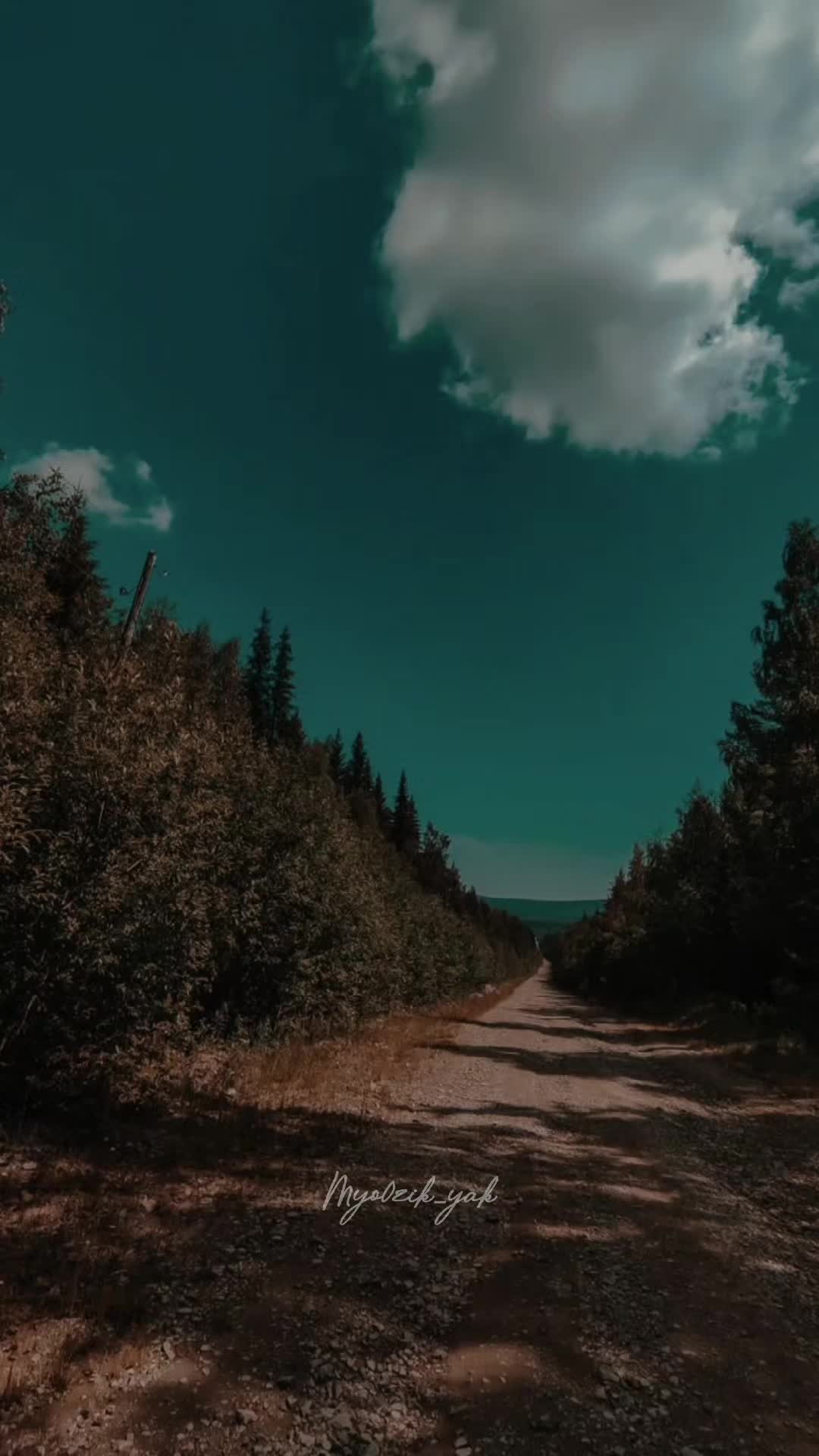 @ꪑꪗꪮ੦ɀỉƙ_ꪗꪖƙ ♪♫♬ 🧬