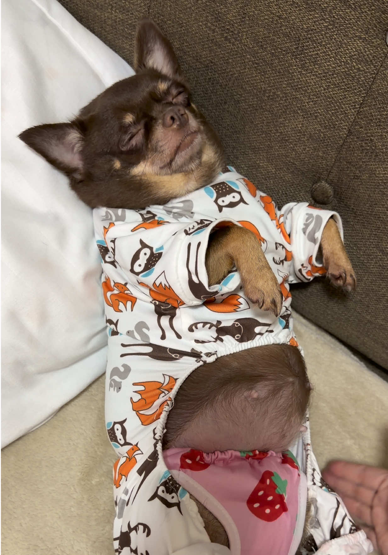@Bambi