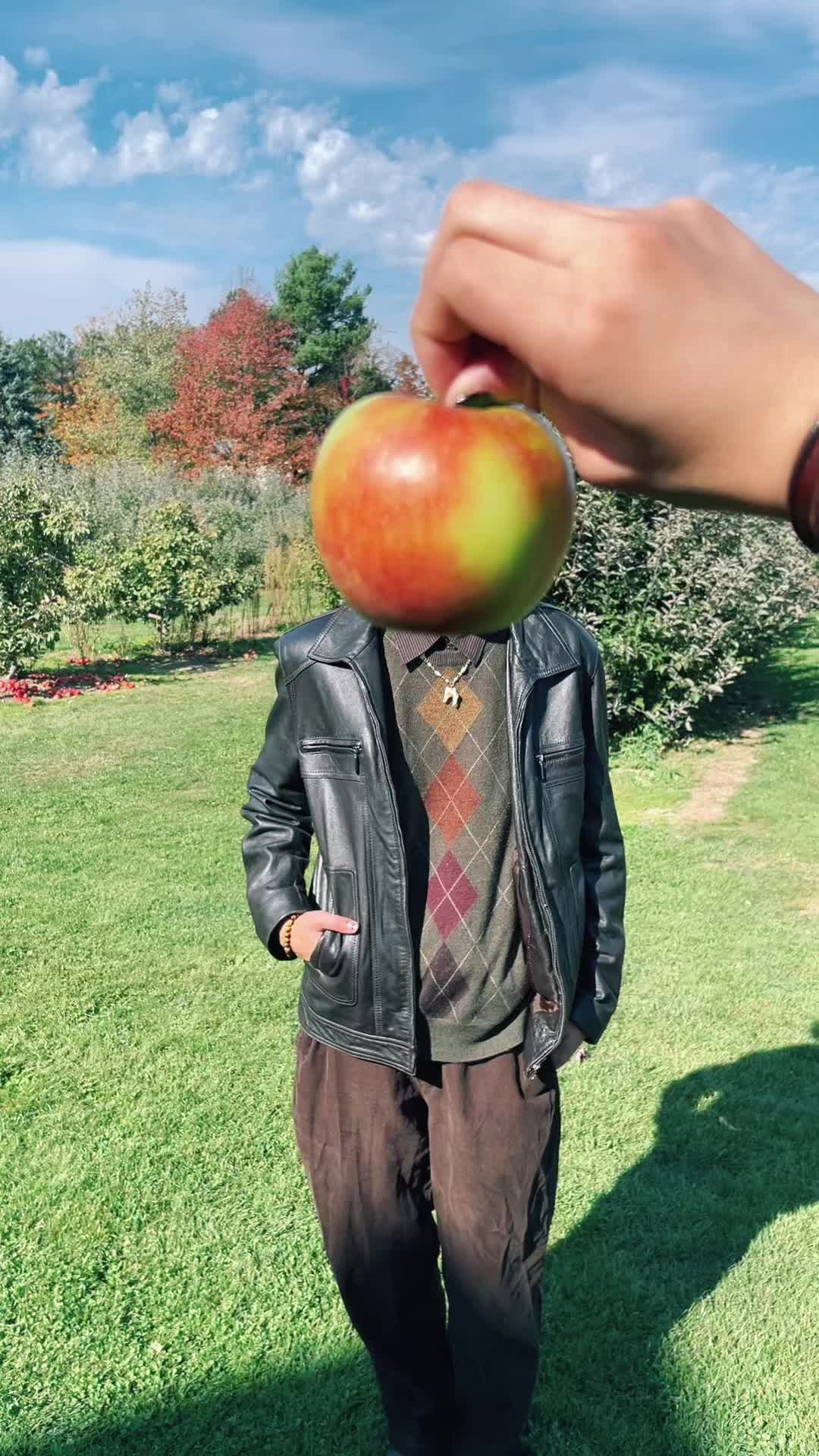 @Melinoe 🦌𖤐