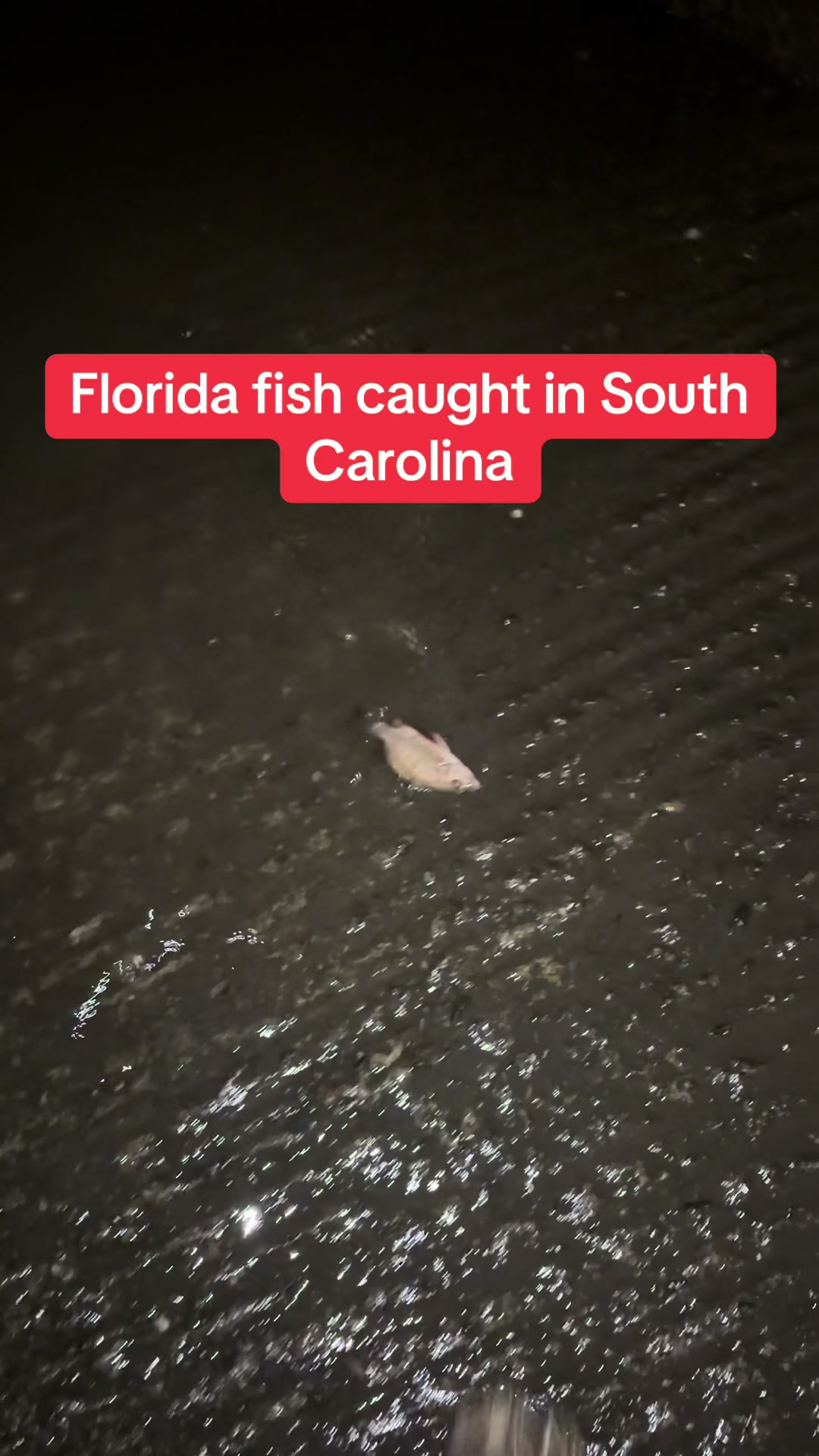 @BeaufortSC_Bait