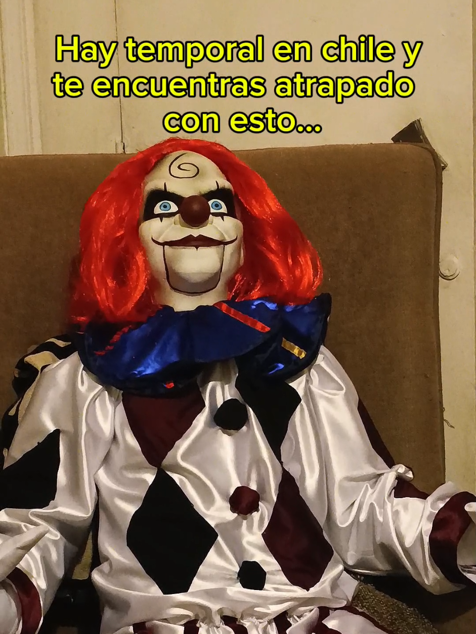 @Mirko Pizarro