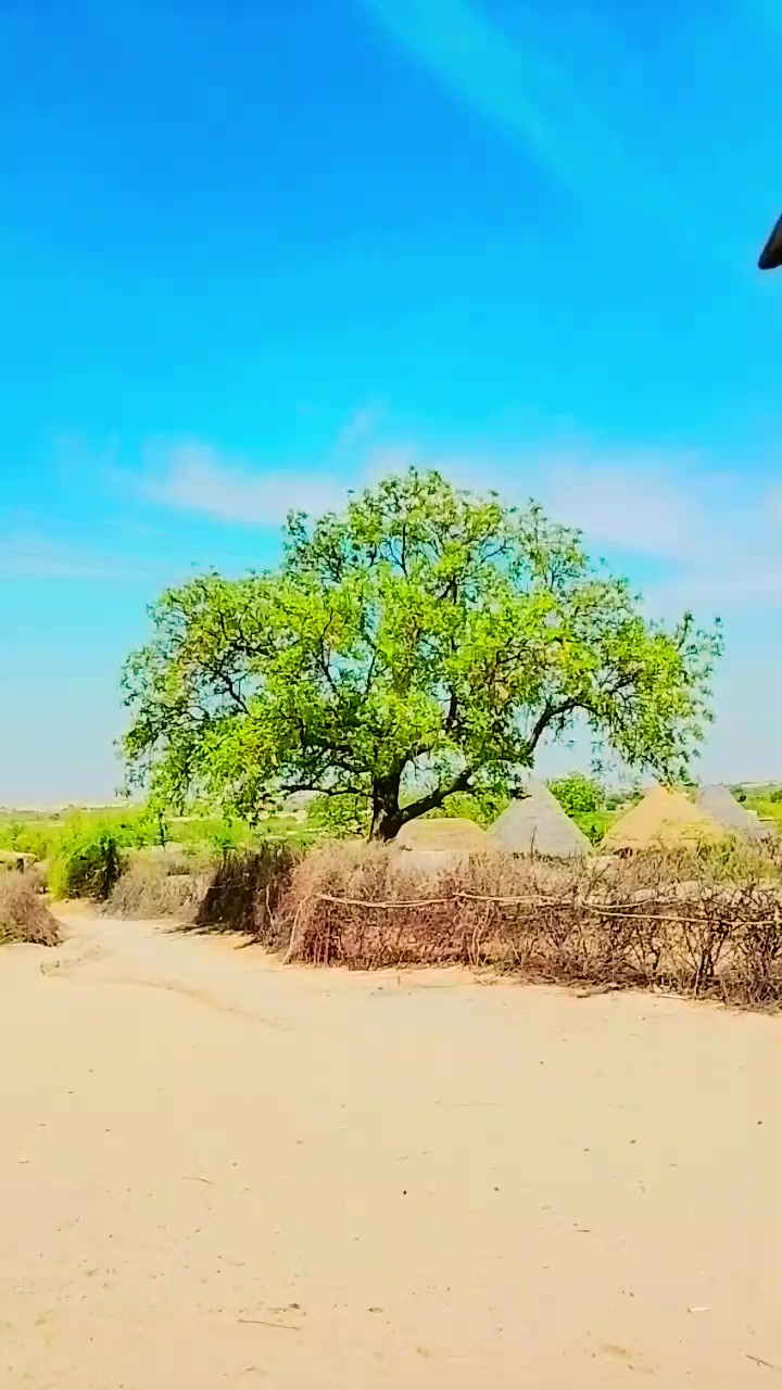 @فوزیا۔  ۔۔۔۔۔۔سومرو۔۔