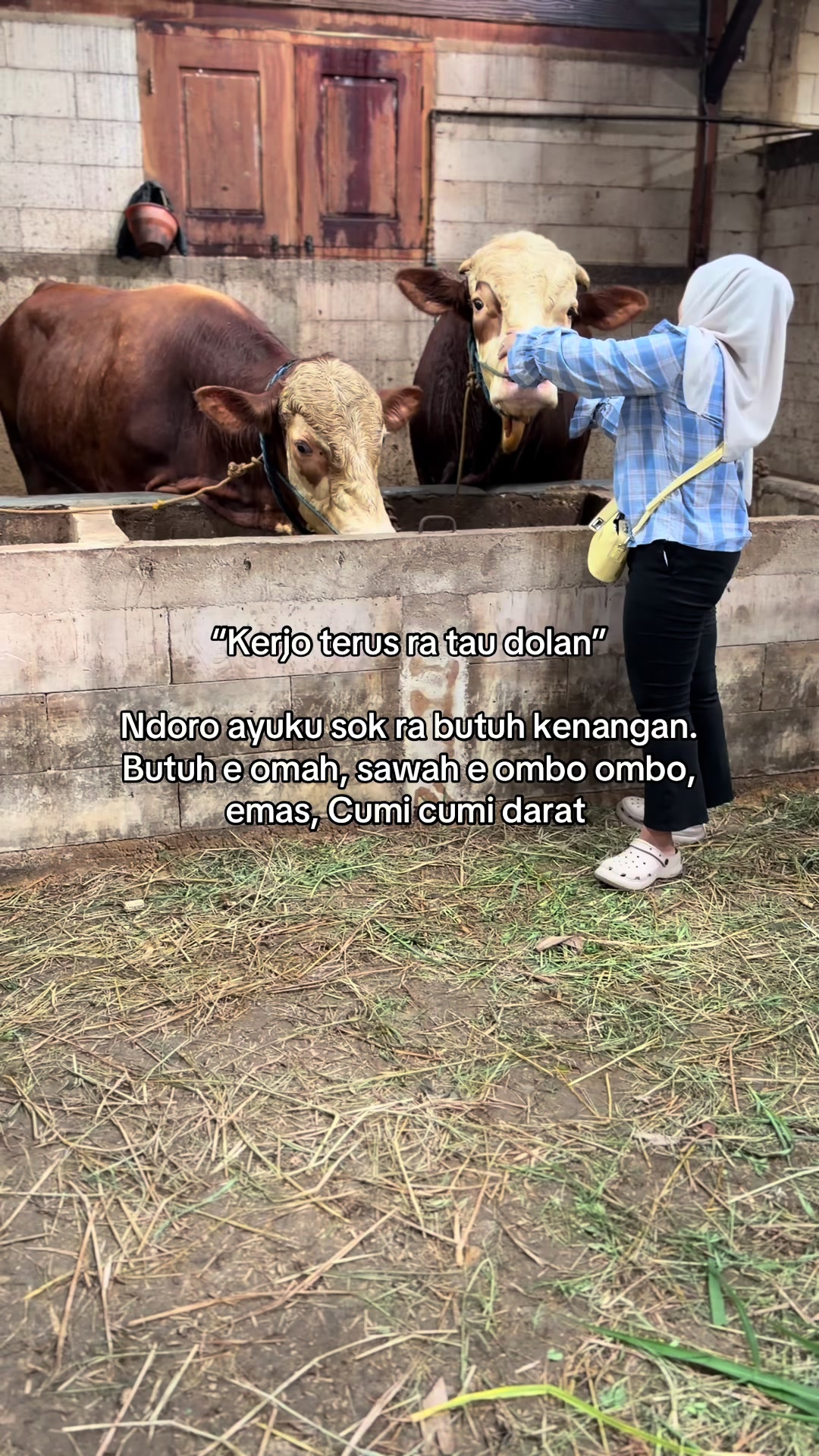 @zero farm