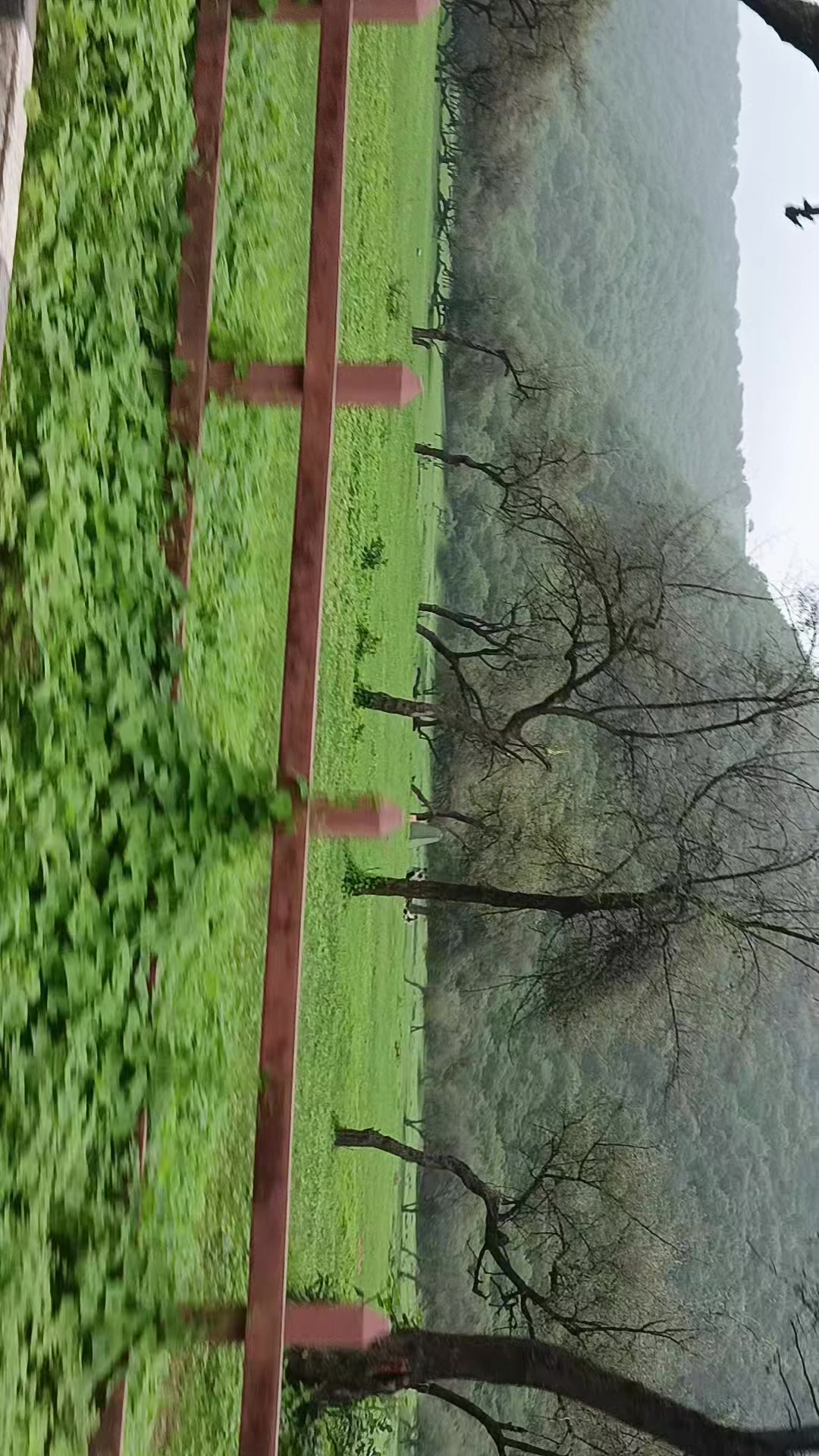 @Elena 🍓