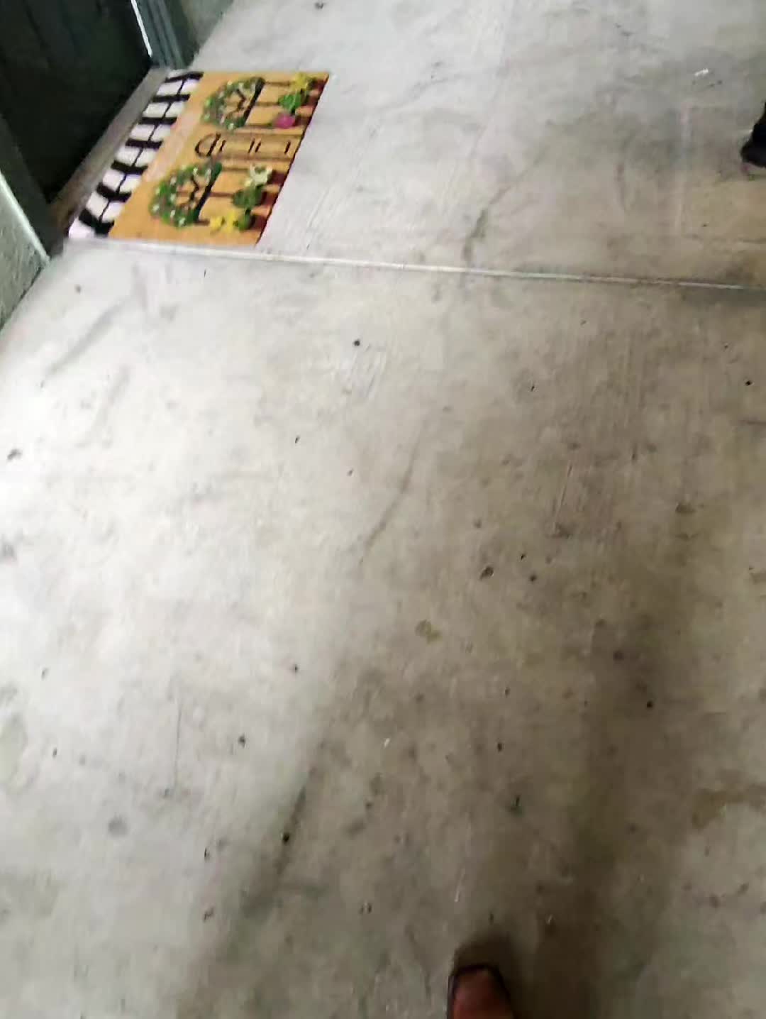 @#shaqcoello