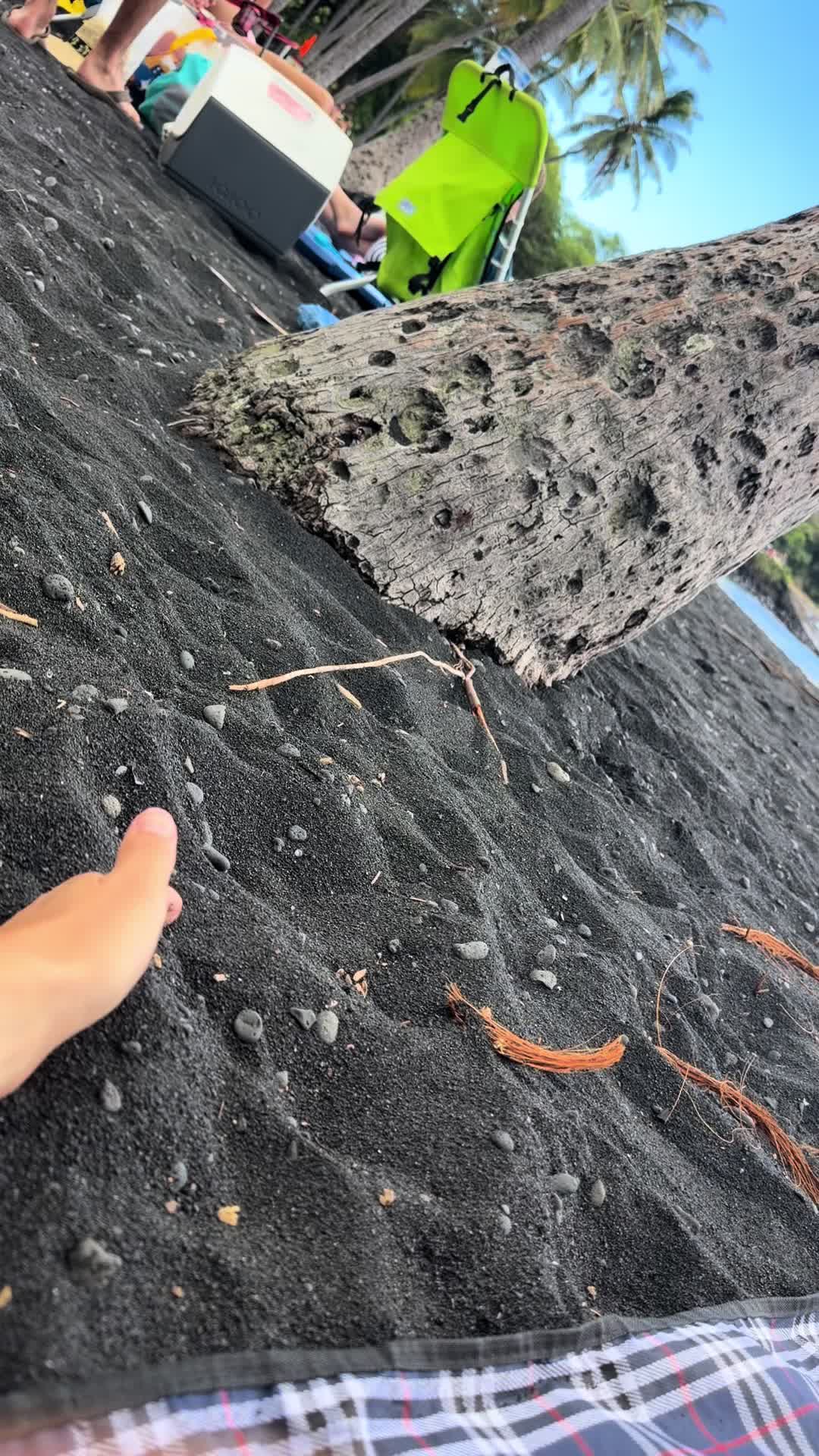 @Nicole in Hawaii