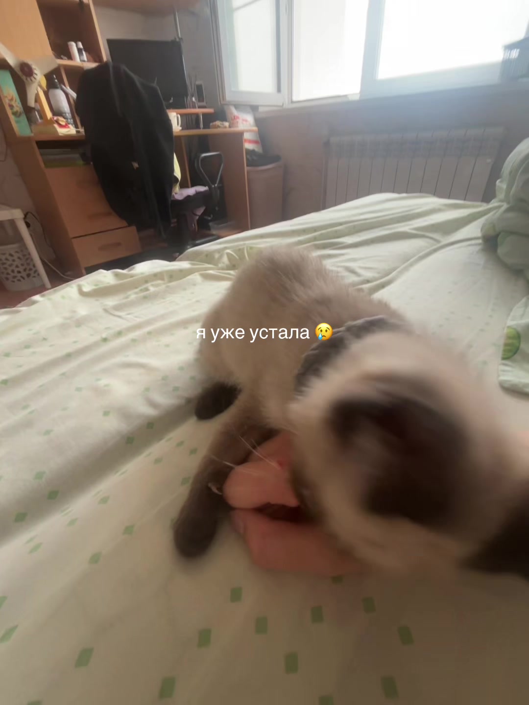 @навечно молодая