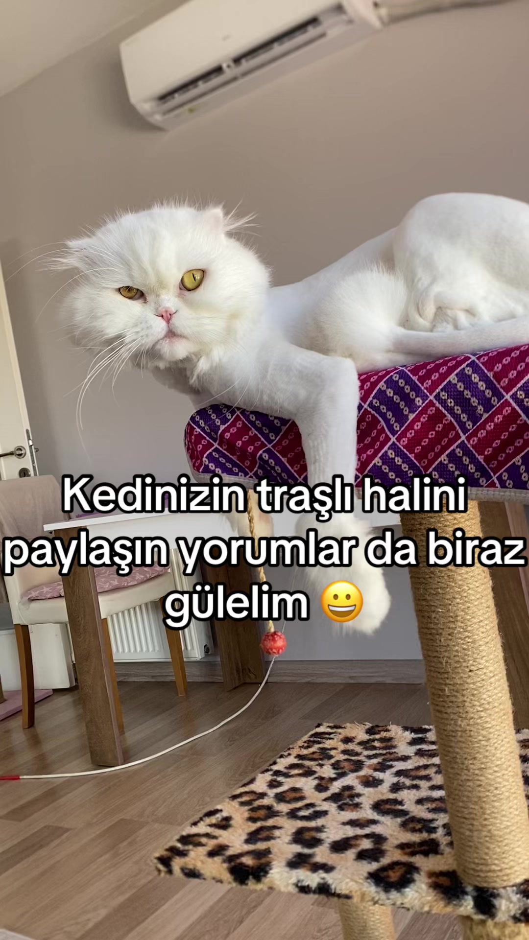 @yudummz_