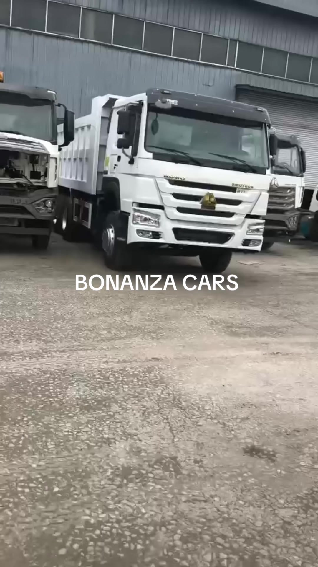 @BONANZA CARS