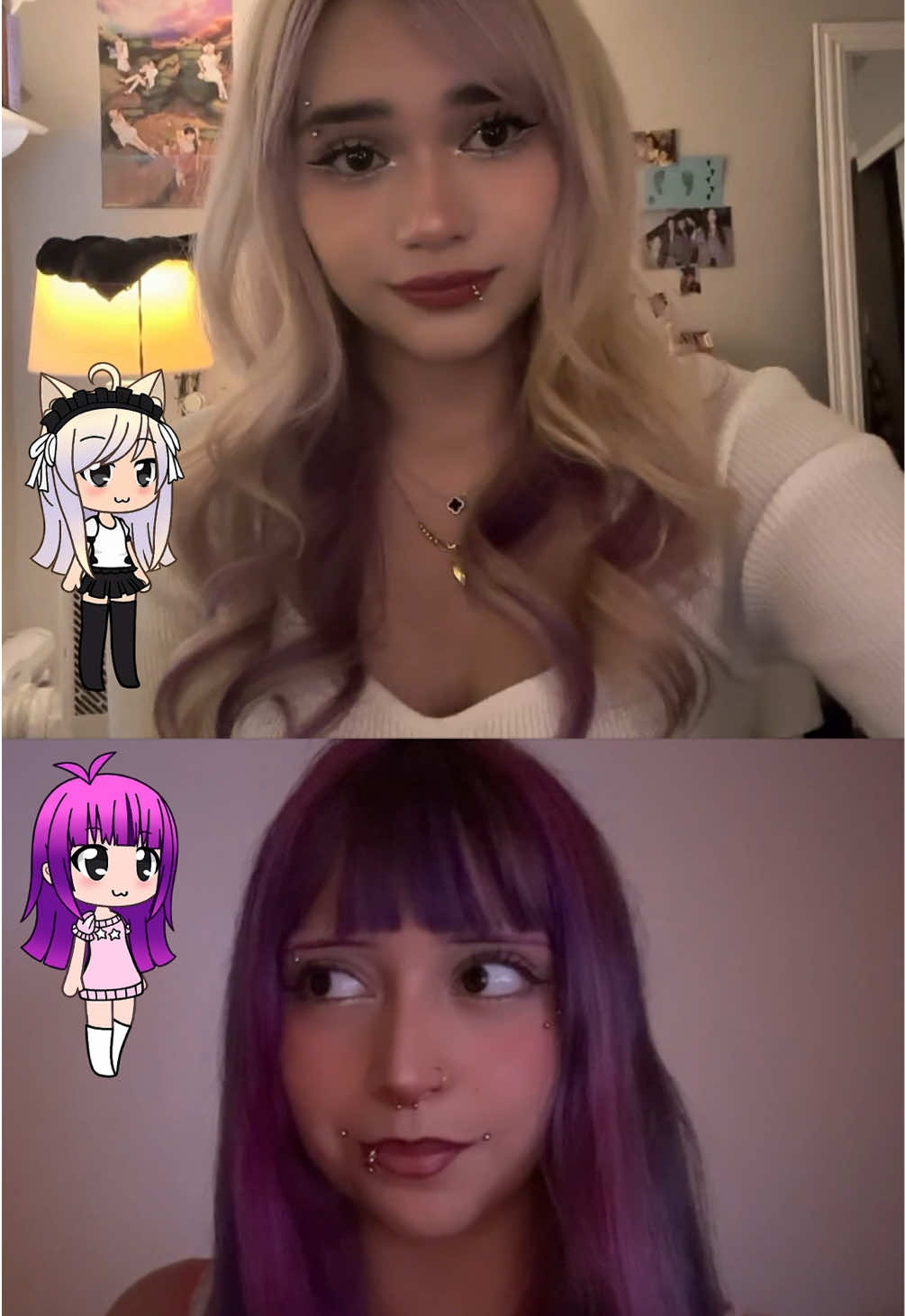 @dinopawwz