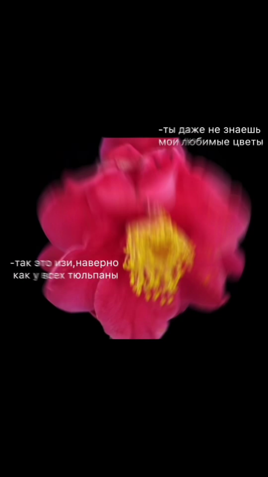 @жена Роналду