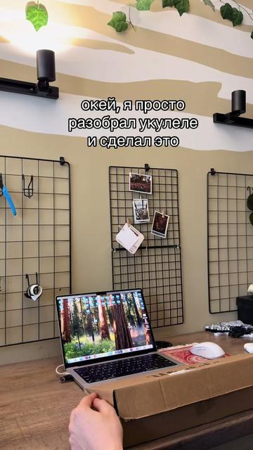 @саня каньон
