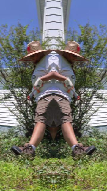 @๐ต๐ท๐ณ๏ธ๐JANYT.2๐ณ๏ธ๐๐ต๐ท