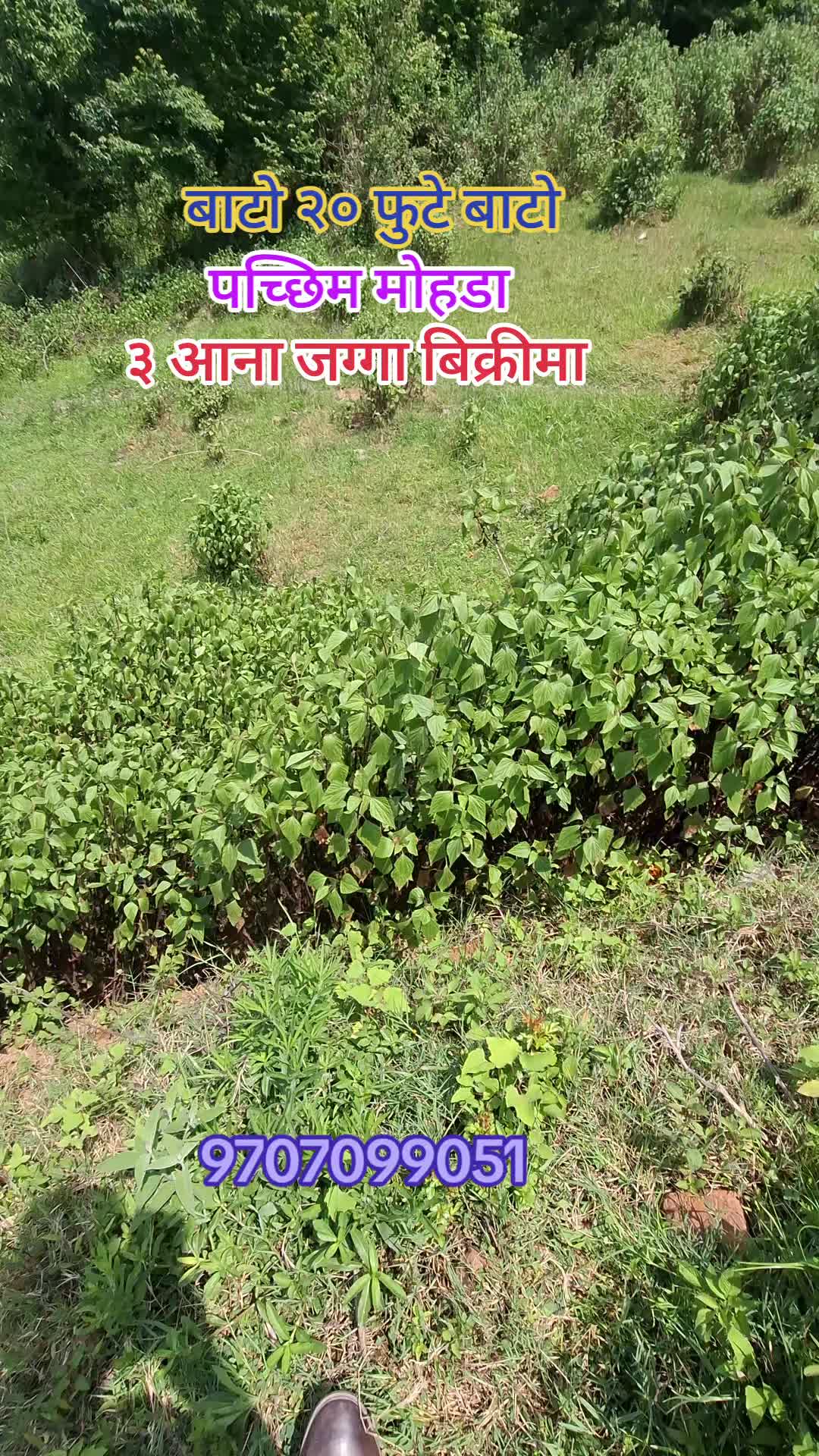 @घरजग्गा किन्नेबेच्ने sorenepal