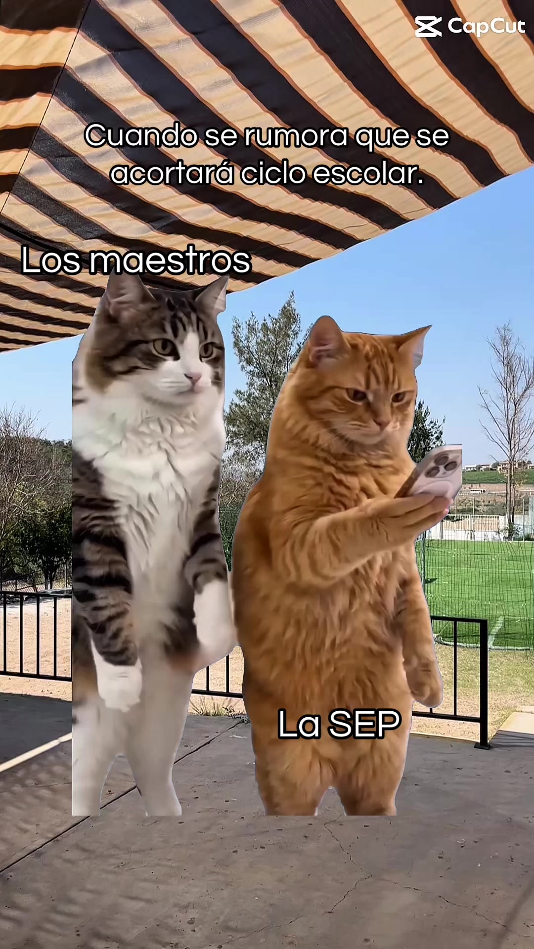 @María Rivera🧠🫀📚