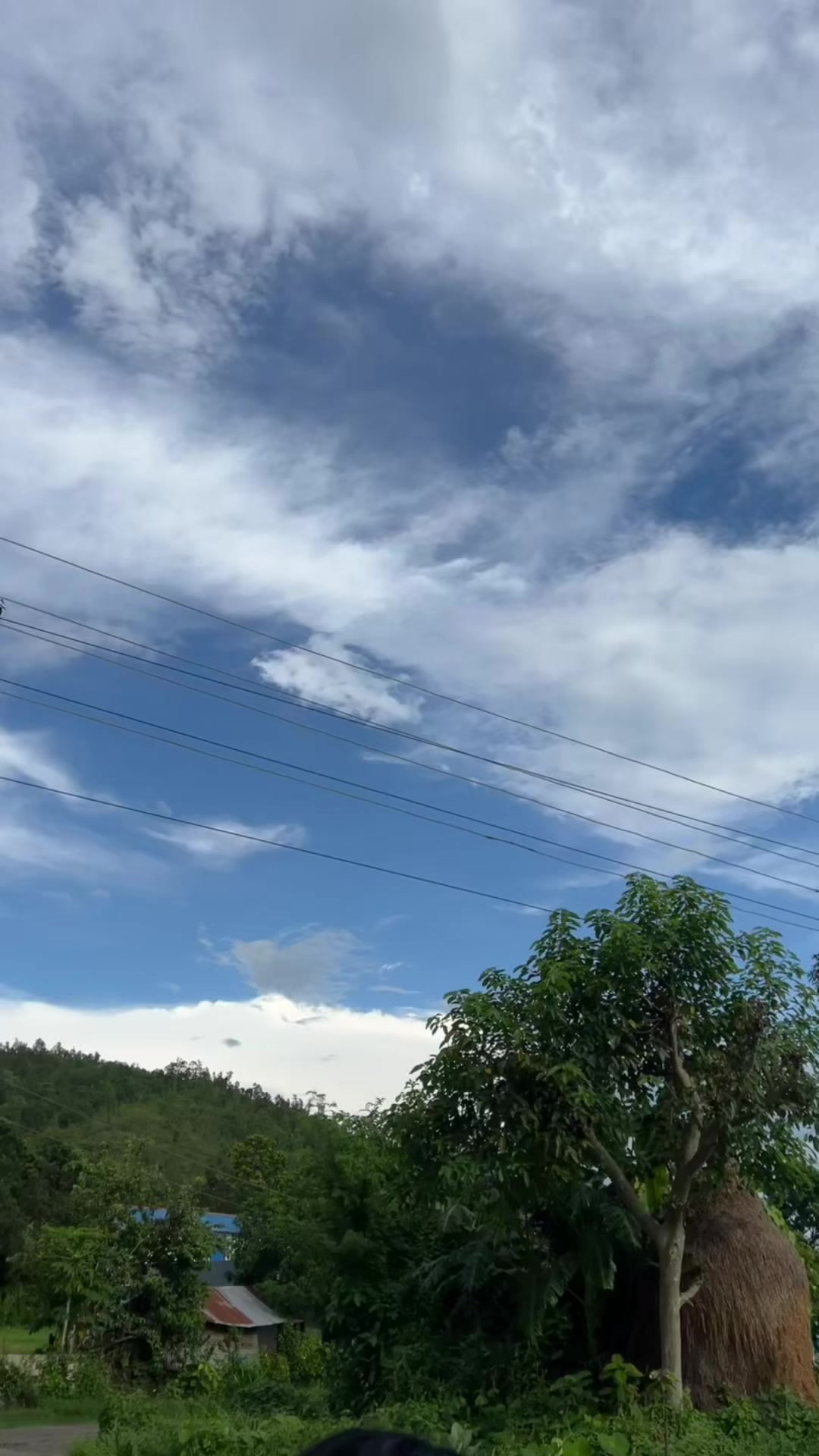 @Magarni————Nani🦋