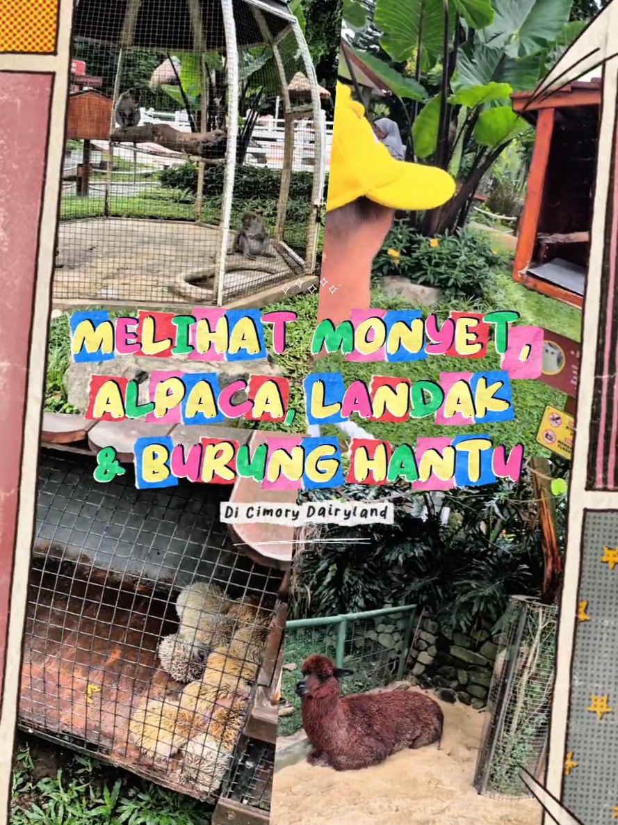 @Alma Hanna Fathiyaturrahmah