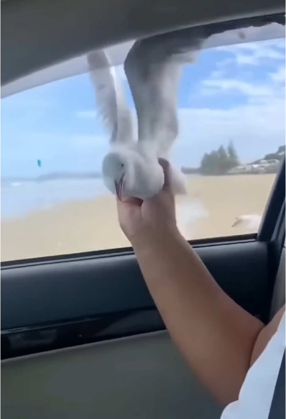 @alejandrohager7