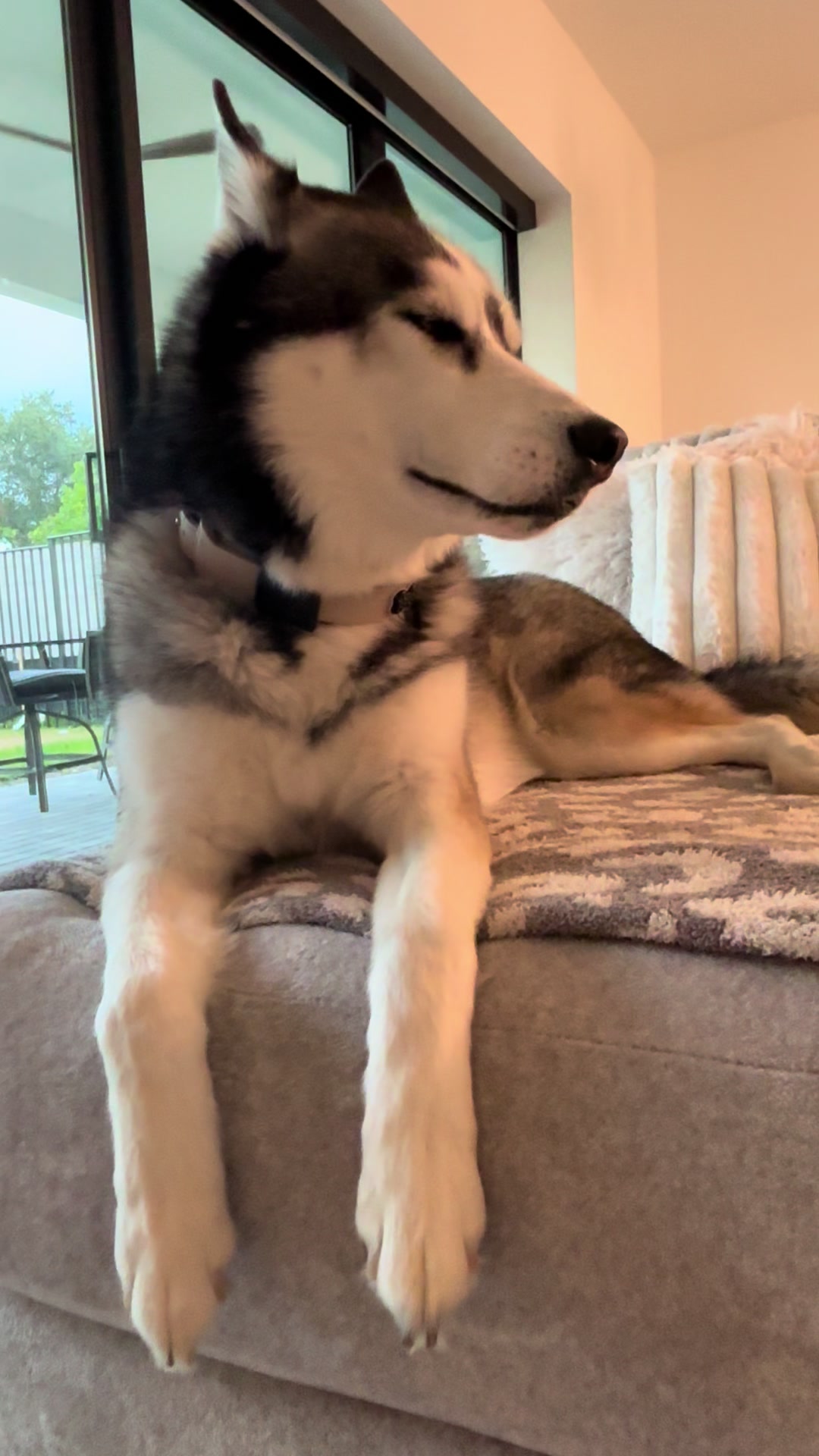 @lifewith2huskies