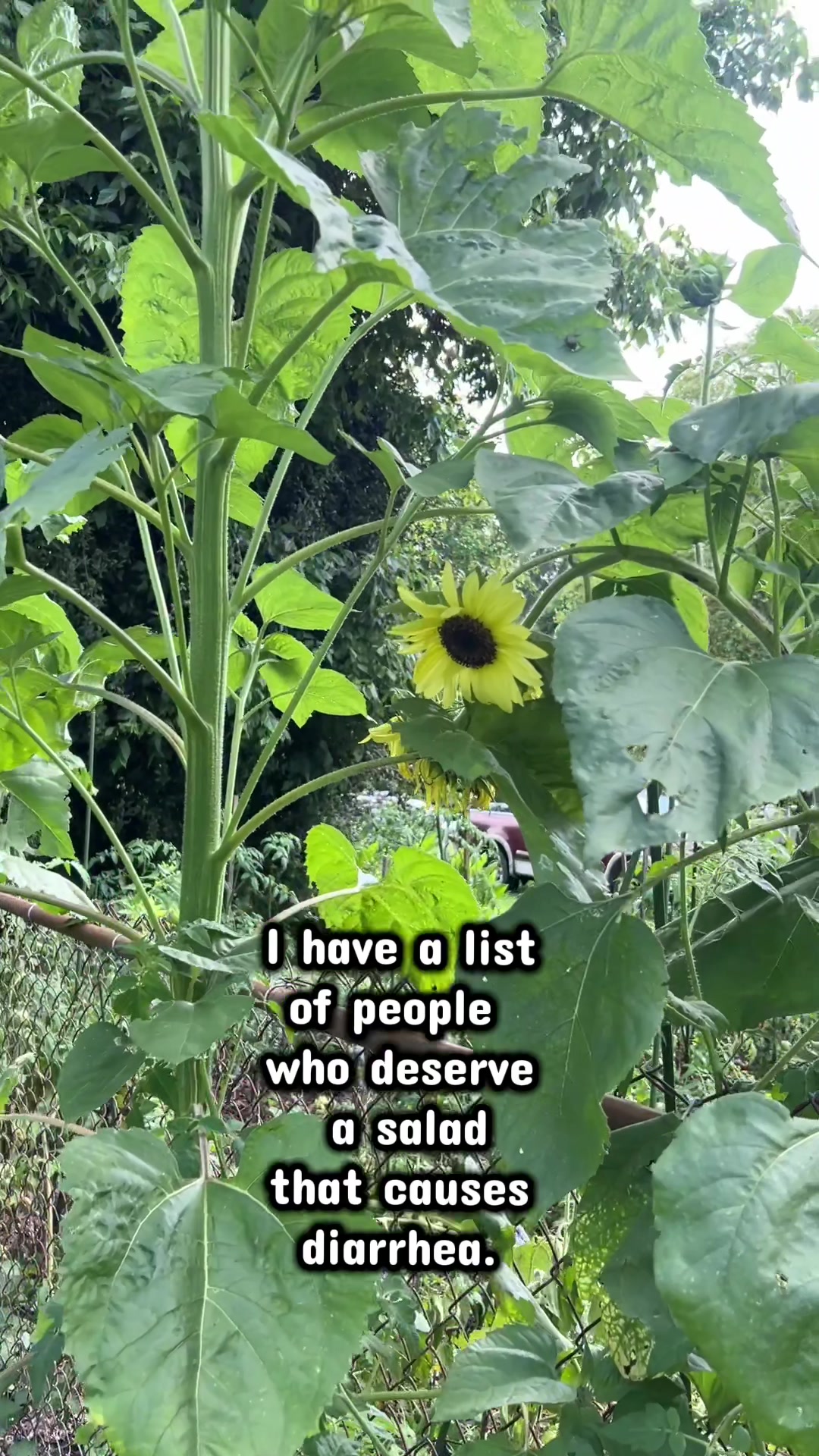 @Rebekah