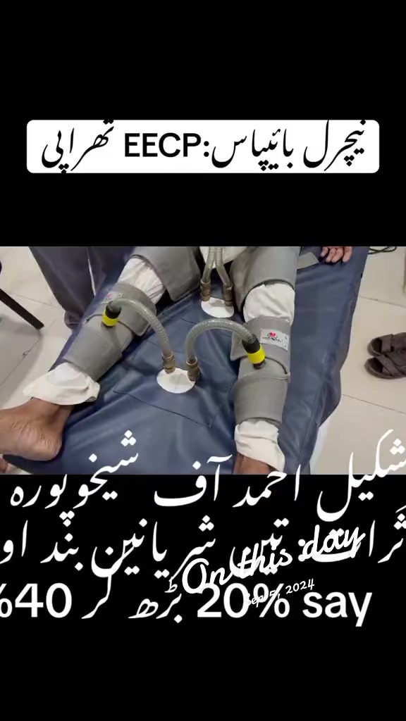 @Dr.Mehdi Hassan