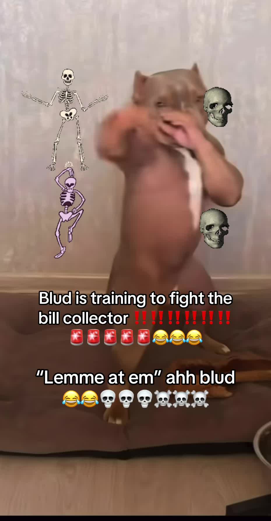 @FortniteClipz_24
