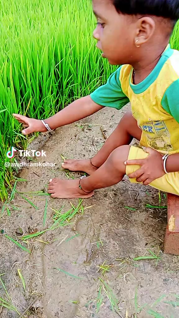 @Anil Prajapati