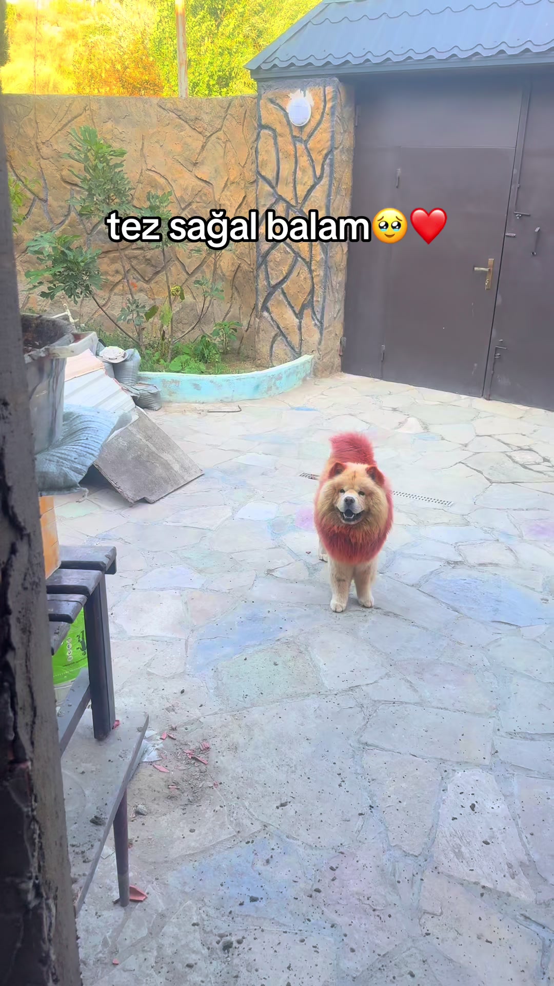 @tobi_bakılı