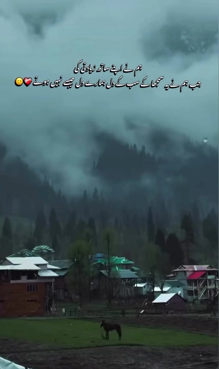 @Danish Qamar