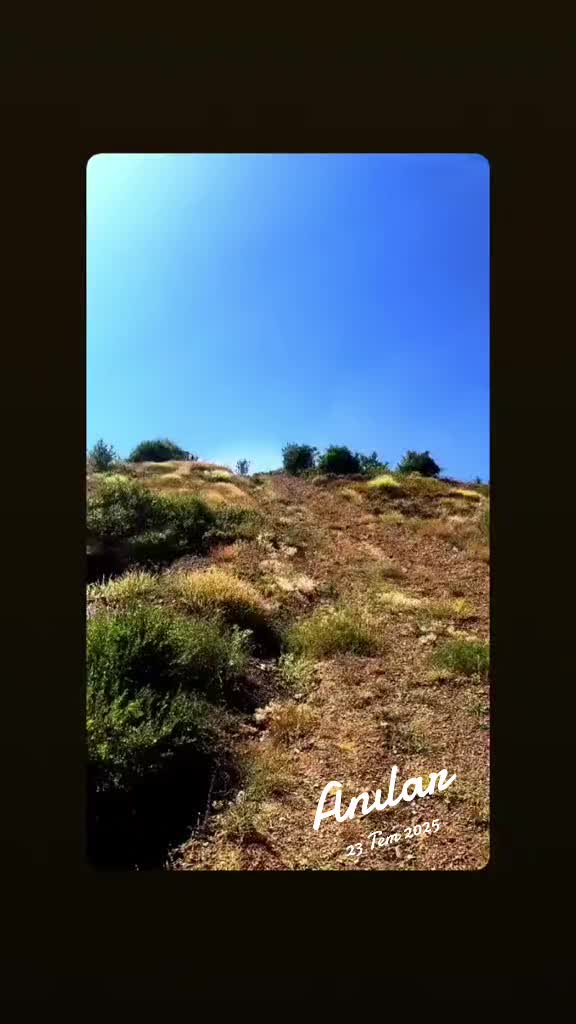 @Hasan Hüseyin Akkoca