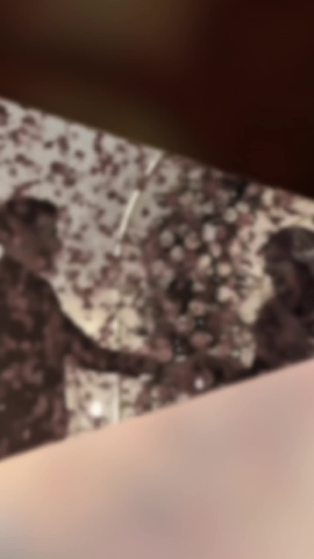 @𝙇𝙤𝙨𝙩 𝙎𝙤𝙪𝙡
