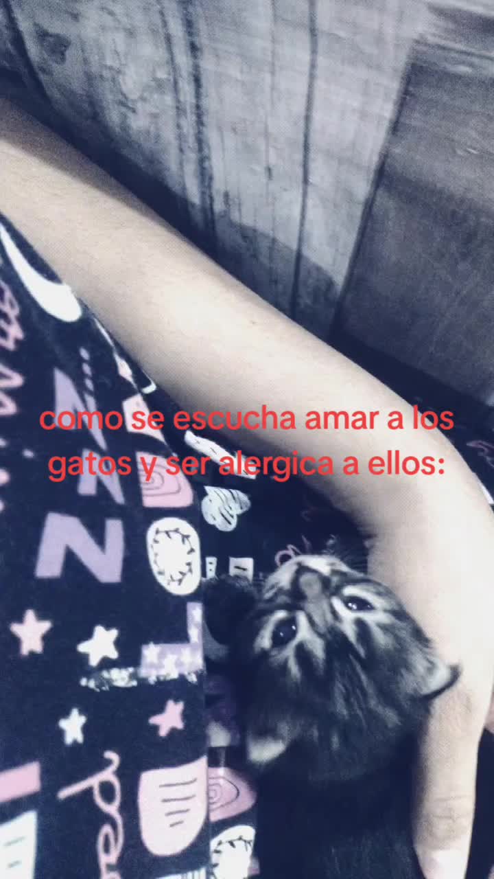 @┌》Ꭾᥳᥰᛕ・Ỻឋℱ℉Ỵ᳚⟯〰