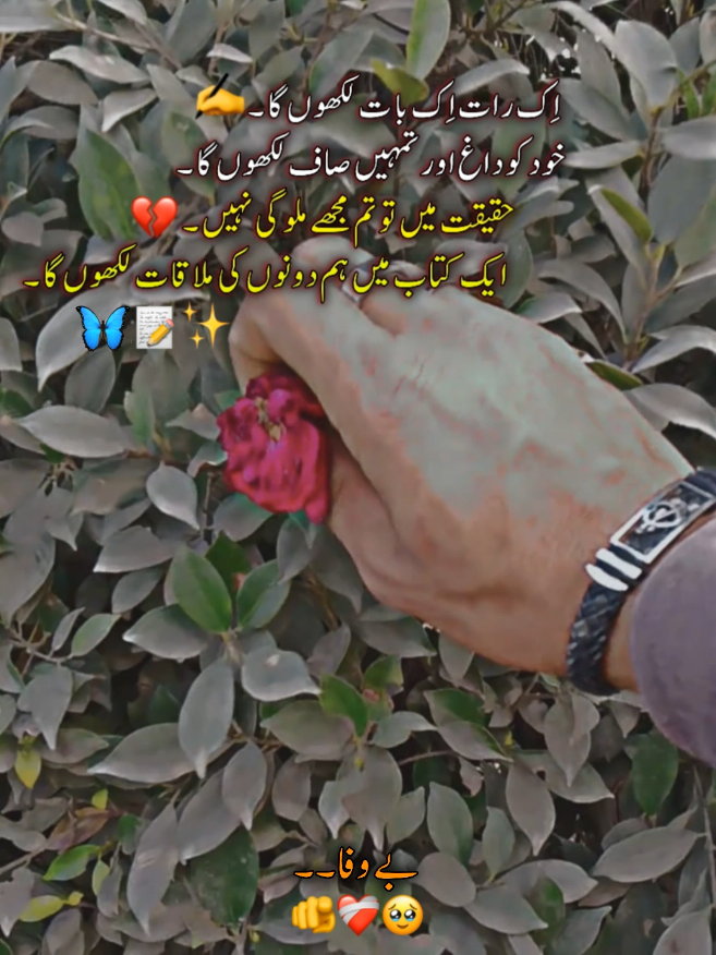 @⚠️❌چـدھـڑ بـادشــاہ❌⚠️