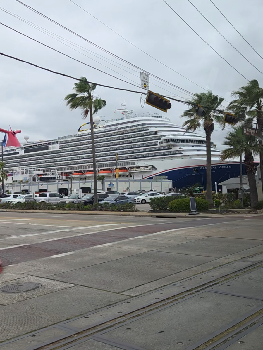 @Whit the Cruise Queen⚓️