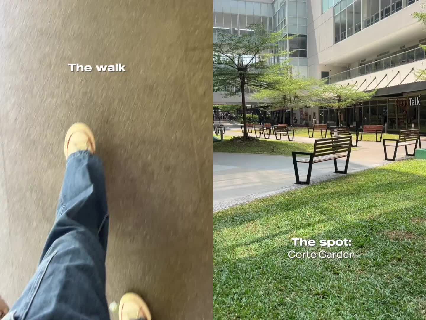 @Ayala Malls Central Bloc